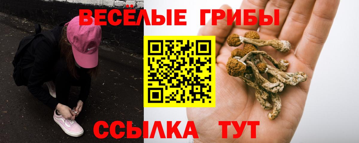 Псилоцибиновые грибы мухоморы Зеленодольск