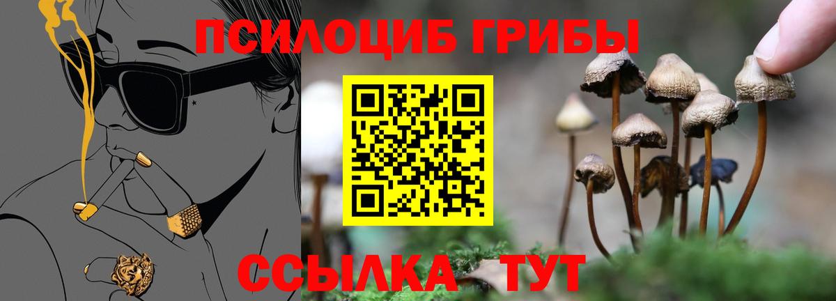 APVP Зеленодольск