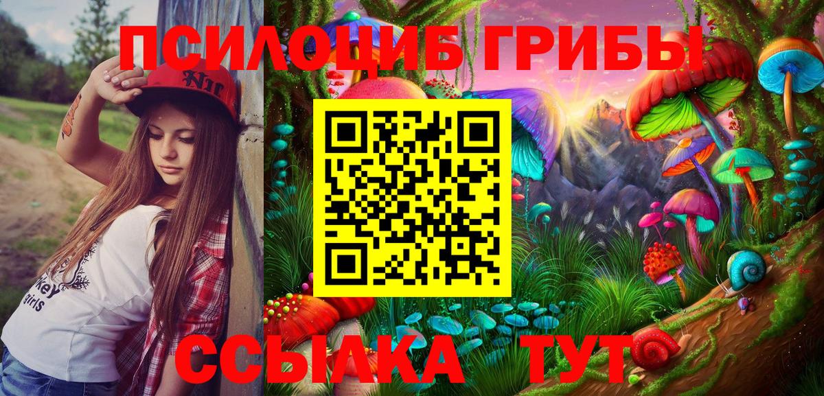 Зеленодольск  Галлюциногенные грибы Cubensis  сколько стоит  Вход с VPN  Псилоцибиновые грибы ЛСД 
